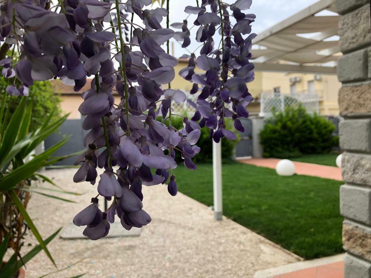 City Garden Guest House Олбия Екстериор снимка